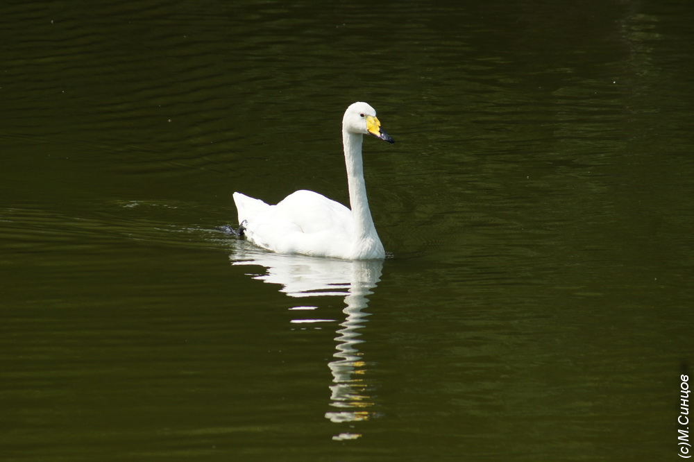 DSC4808.JPG