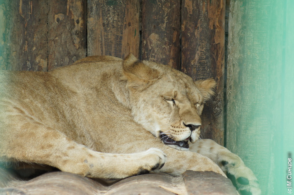 DSC4889.JPG