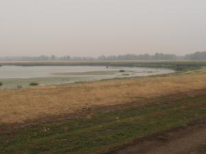 P7280520
