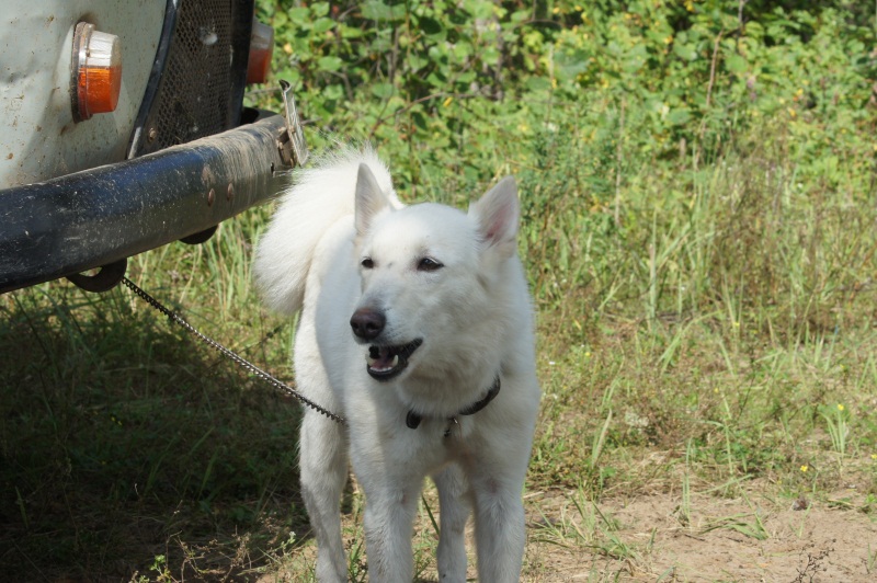 DSC05829.JPG