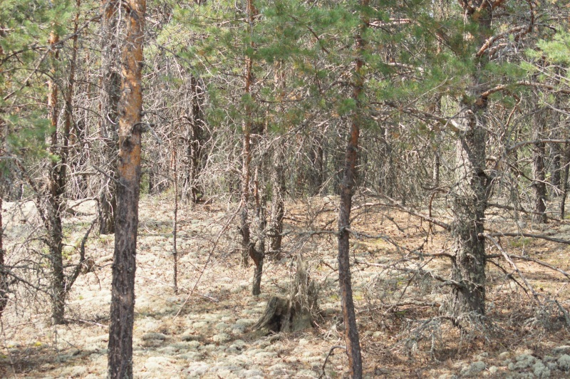DSC05585.JPG