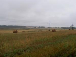 Дождливое утро.