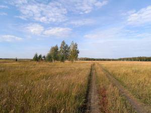 Дорога у озера