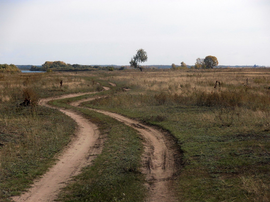 Дорога на берегу Иртыша