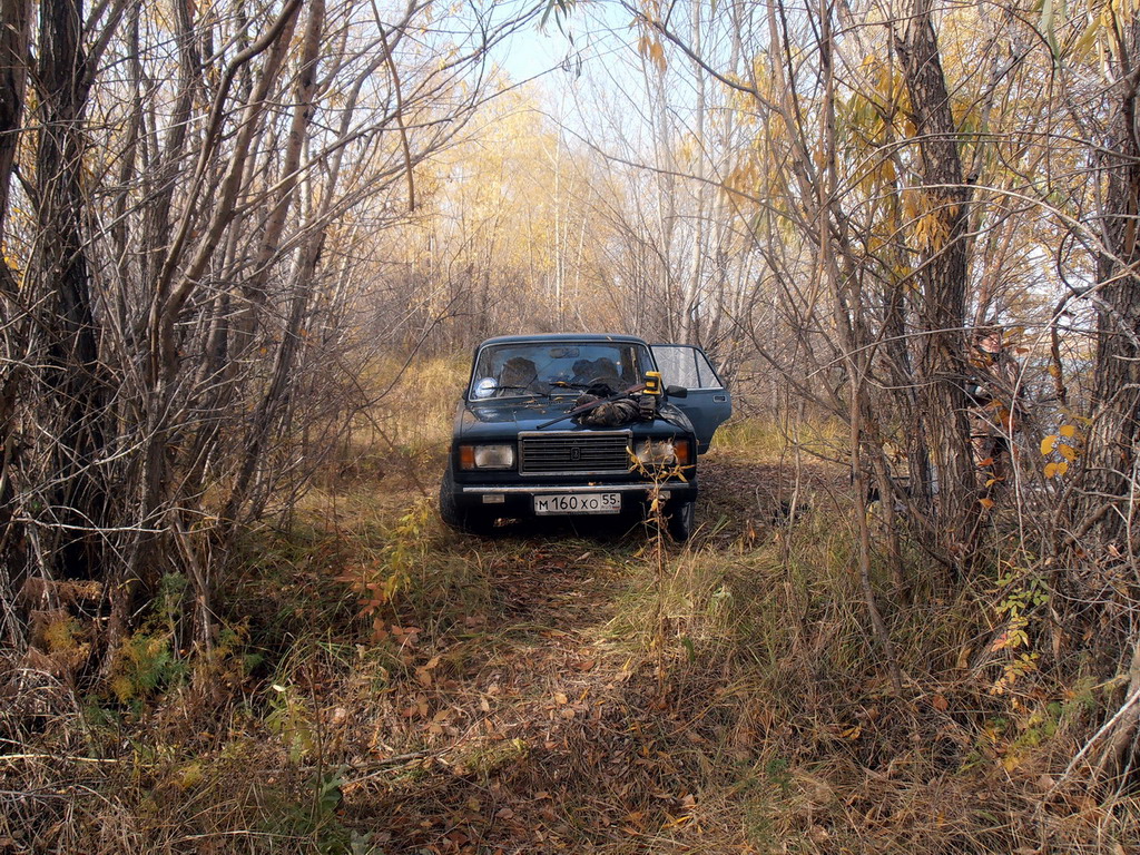 На берегу Иртыша.