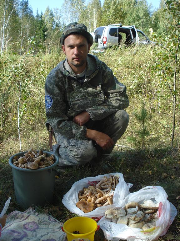 грибы 2012