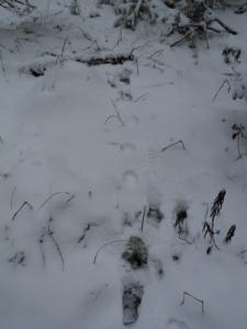 DSC07566
