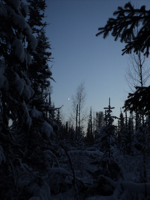 DSC07658