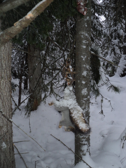 DSC07727