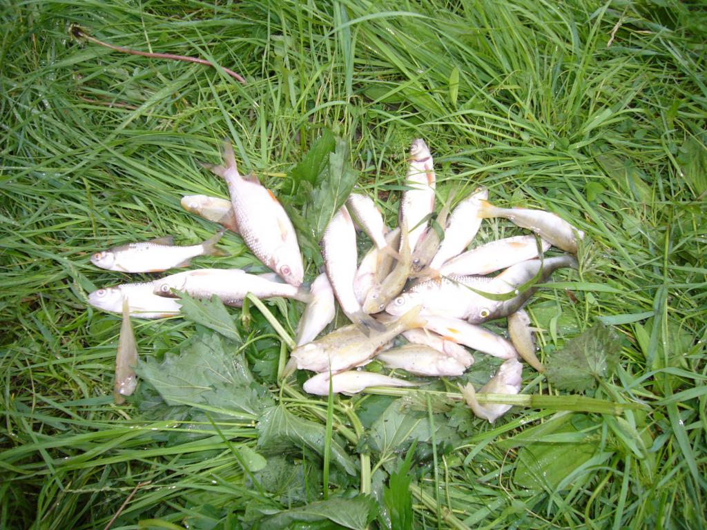 19.JPG