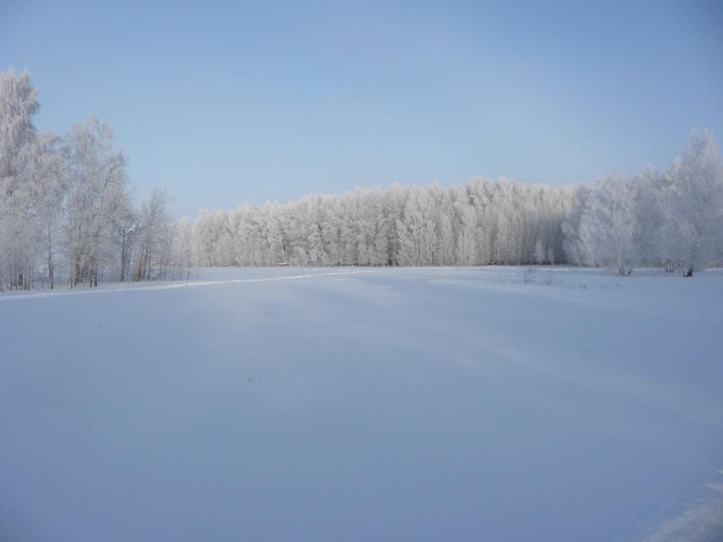 Крысотища