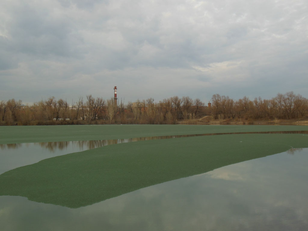 DSCN0806_1024