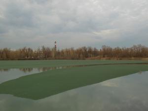 DSCN0806_1024