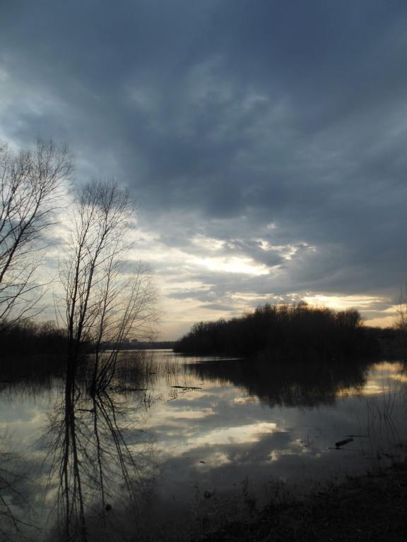 DSCN0727_1024