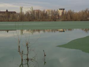 DSCN0802_1024