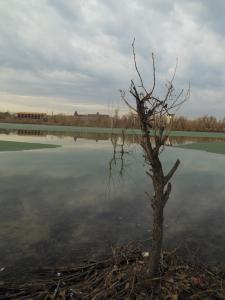 DSCN0799_1024
