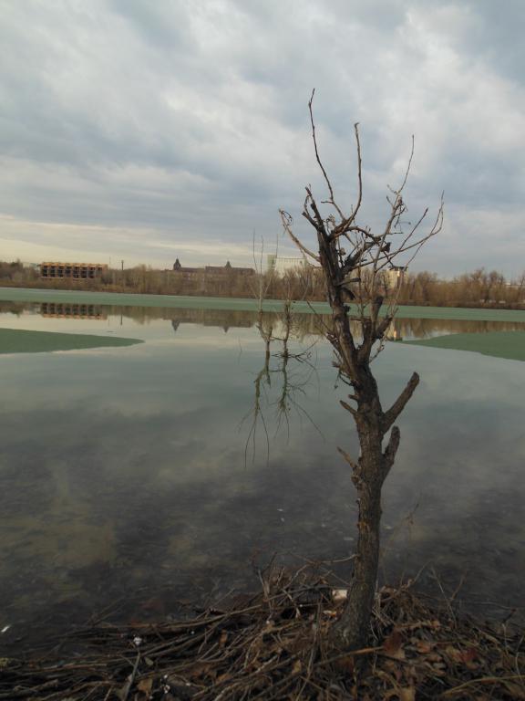 DSCN0799_1024