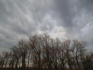 DSCN0758_1024