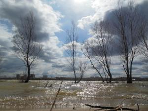 DSCN1051_1024