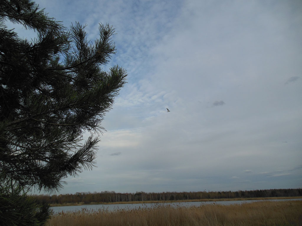 DSCN1213_1024