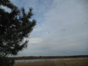 DSCN1213_1024
