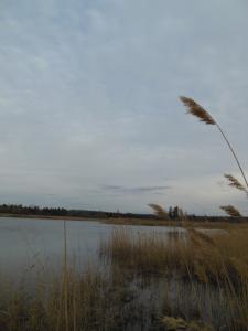 DSCN1218_1024