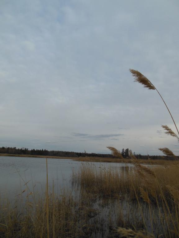 DSCN1218_1024