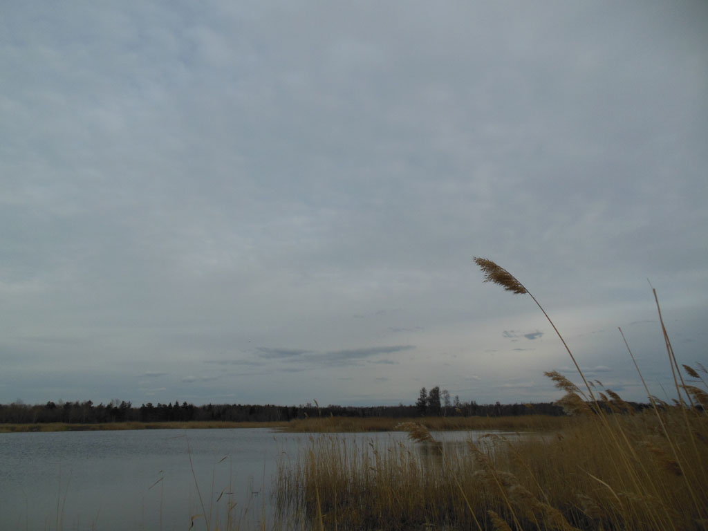 DSCN1221_1024