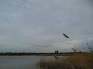 DSCN1221_1024