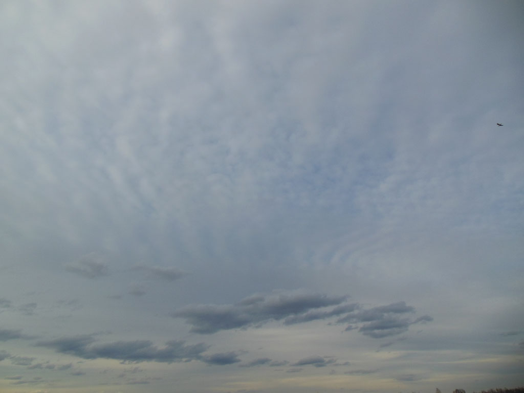 DSCN1232_1024