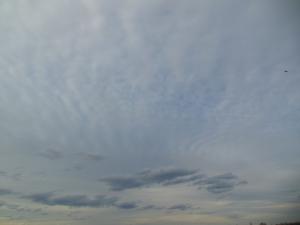 DSCN1232_1024