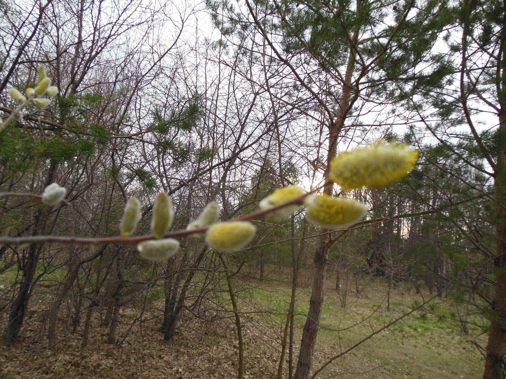 DSCN1235_1024