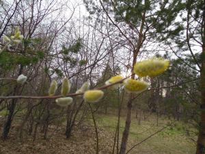 DSCN1235_1024