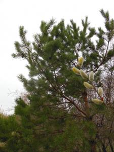 DSCN1242_1024