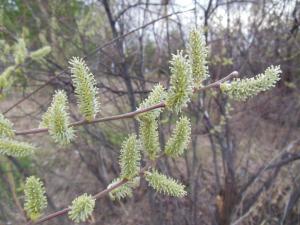 DSCN1244_1024