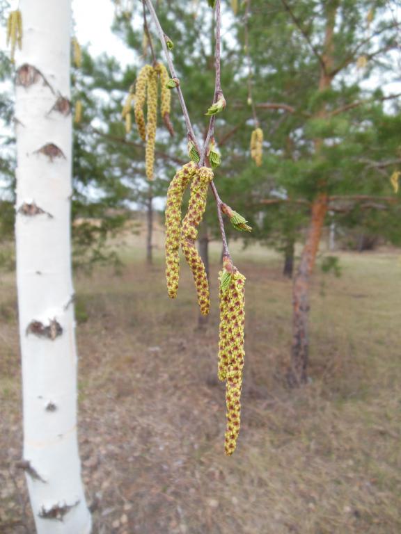 DSCN1251_1024