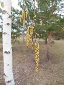 DSCN1251_1024