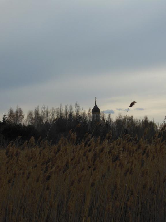 DSCN1252_1024