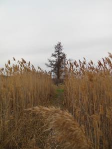 DSCN1272_1024