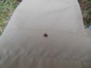 DSCN1274_1024