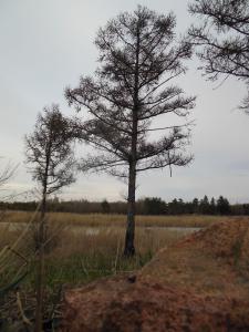 DSCN1276_1024