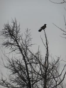 DSCN1282_1024
