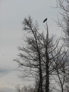 DSCN1283_1024