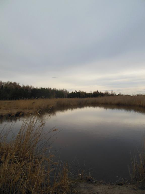 DSCN1284_1024