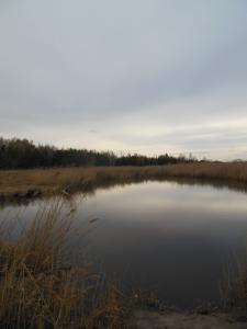 DSCN1284_1024