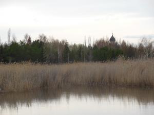 DSCN1288_1024