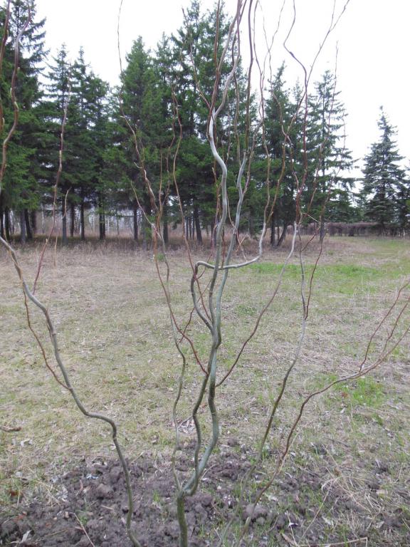 DSCN1289_1024