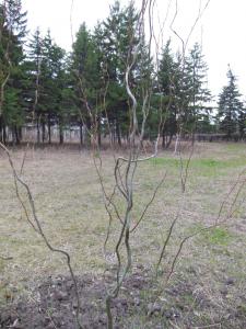 DSCN1289_1024