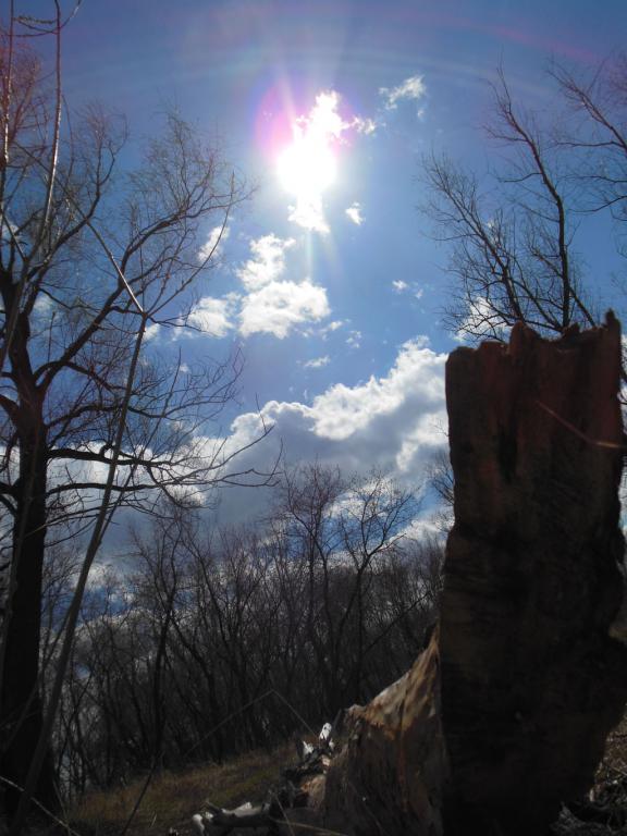 DSCN1366_1024