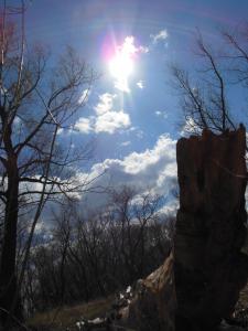 DSCN1366_1024